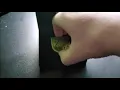 Bungie rewards Savior seal unboxing