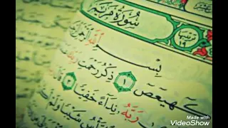 تلاوة جميلة لسورة مريم لتسهيل الولادة بصوت الشيخ ماهر المعيقلي 