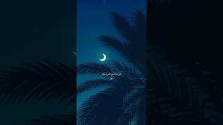 ودوني لعلي وخلوني ازوره  ياعلي مولا علي السلام دندنها