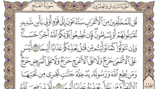 سورة الفتح   محمد صديق المنشاوي دندنها
