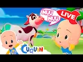 Download Lagu 🔴 DIRECTO 🔴 Canciones infantiles y vídeos educativos de Cleo y Cuquín
