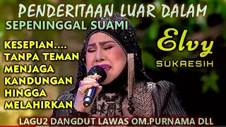 Download DERITA LUAR DALAM ELVY SUKAESIH SEJAK SUAMI MENINGGAL MP3