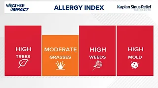 What you need to know about ragweed pollen in Houston