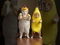Chubby Cute Cat Does the Chicken Banana Dance Challenge! 🐔🍌v2 #shorts