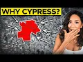 Moving to Cypress TX The Truth About the Market Shift