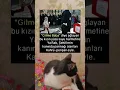 Download Lagu Rabbim Bu Mübarek Cuma Gününde Dualarımızı Kabul Eyle 🤲 İnşallah Amin #shorts #keşfet #dualar