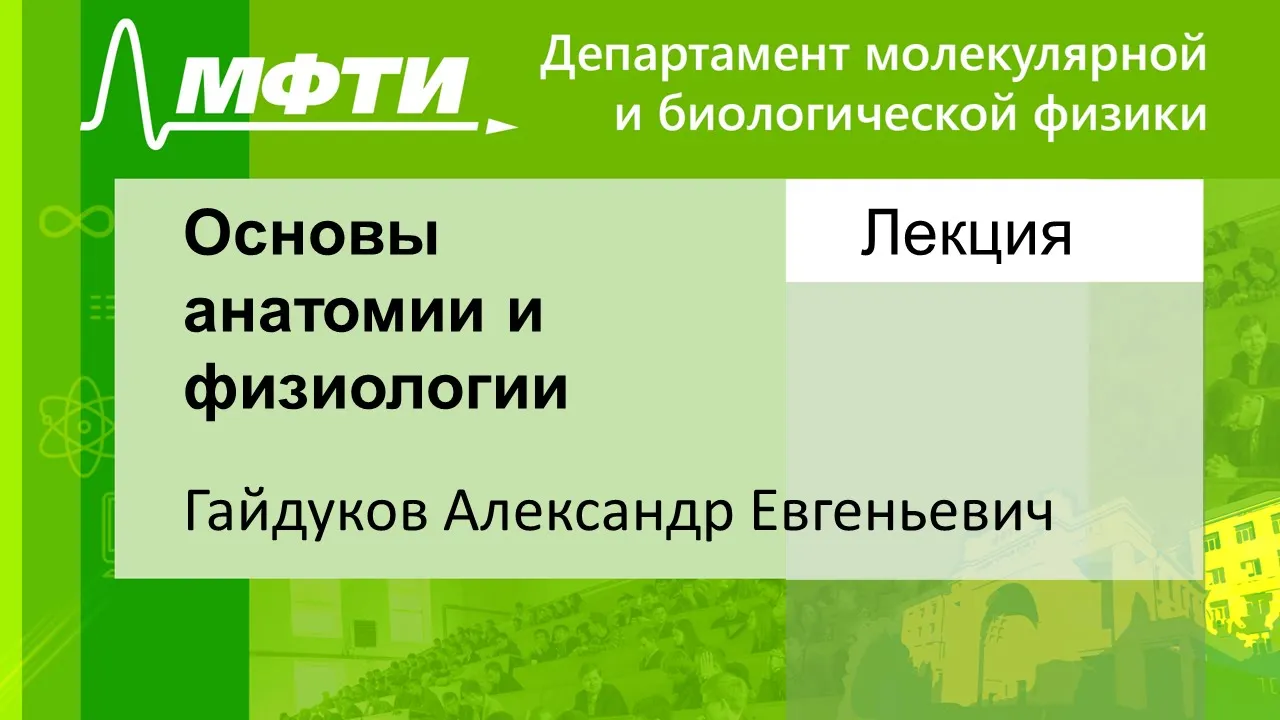 Основы анатомии и физиологии, Гайдуков А. Е. 07.10.2021г.