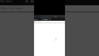 Python Turtle Draw Circle