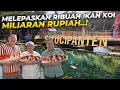 Lagu MAJALENGKA GEMPAR..! BOSKOI MELEPASKAN RIBUAN KOI KE SITU CIPANTEN..!