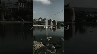 ستوريات انستا عيش الهوى متلي وخاطر سلمى رشيد زياد خوري اغنية هيدا حكي ستوريات انستا 