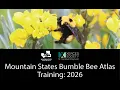 Mountain States Bumble Bee Atlas 2026 Training Webinar