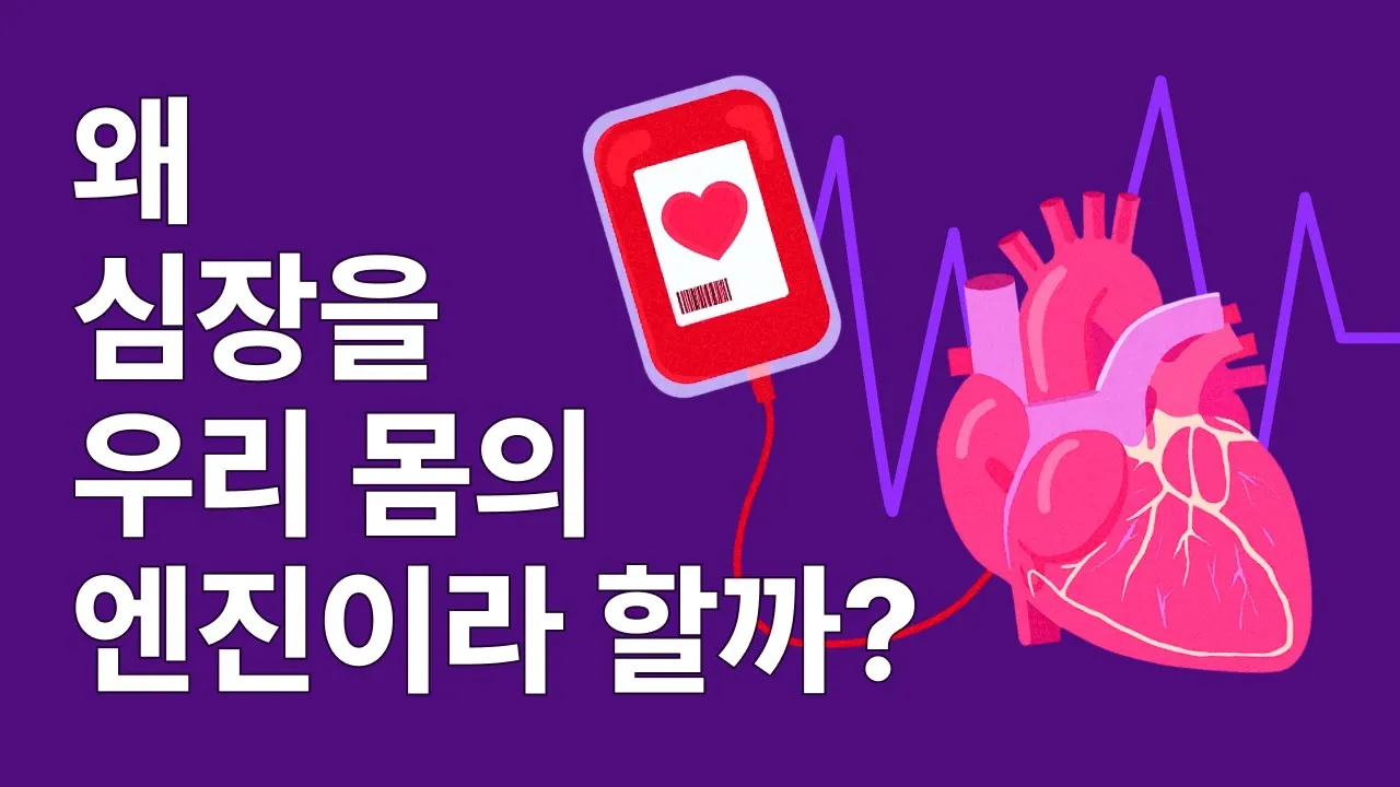 왜 심장을 우리 몸의 엔진이라 할까?