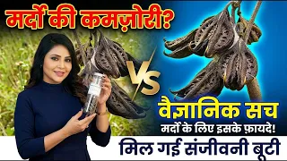 मिल गई संजीवनी बूटी😱स्वयं हनुमान जी ने वरदान दिया है मिल जाए तो छोड़ना मत मरे को जीवित करेगा ये पौधा