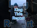 King Tides on Bellingham Bay - December 2023