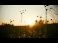 The One - Alina Baraz [Lyrics & vietsub]