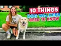 10 Essential Tips Every Dog Walker Must Know to Succeed