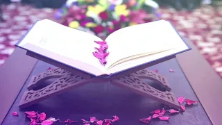 اية الكرسي بصوت اذهل الجميع مولانا كورتش 