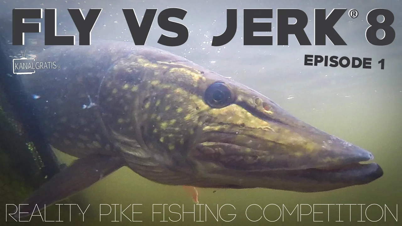 video Fly vs jerk 8