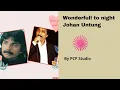 Download Lagu Wonderfull to night - Johan Untung