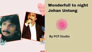 Download Wonderfull to night - Johan Untung MP3