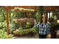 DIY Hanging Rain Gutter Garden Garden Answer