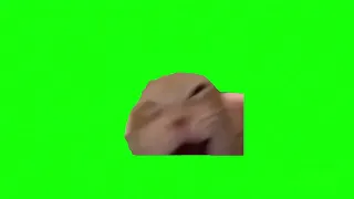 CAT LAUGHING MEME GREEN SCREEN FREE NO COPYRIGHT