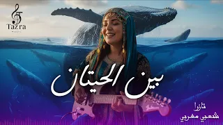 بين الحيتان   تازرا   عايش وسط قلوب مسمومة  حصريا                                       دندنها
