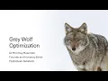 Lecture Grey Wolf Optimization GWO