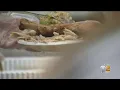 Honda Center Serves Annual Thanksgiving Meal