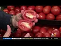 Tip Of The Day Roma Tomatoes