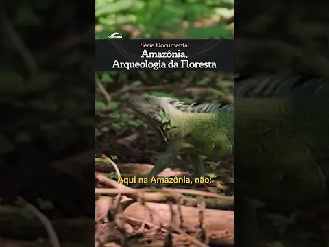 Amazônia, Arqueologia da Floresta #shorts