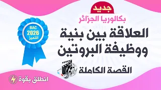 واخير سيناريو القصة الكاملة لوحدة العلاقة بين بنيةووظيفة البروتين بكالوريا 2026 