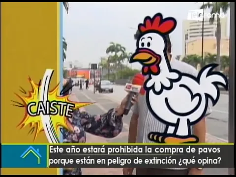 Caíste: Este año estará prohibida la compra de pavos porque están en peligro de extinción ¿Qué opina?