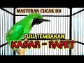 Lagu Masteran Cucak ijo full Tembakan Kasar - Mudah Masuk