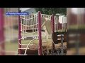 Police search for vandal in Plainfield playground arson