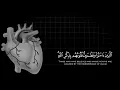 القران الكريم | سورة الرعد | القارئ عبدالرحمن مسعد | تلاوة خاشعة جميلة جدا 😌❤️ | حالات واتس اب