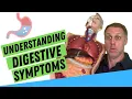 Digestive Troubles Explained Improving Digestion Naturally