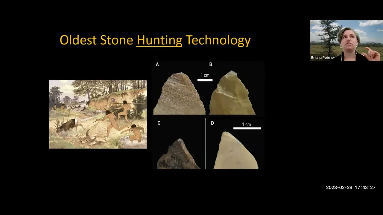Briana Pobiner - "The Role of Scavenging in Human Dietary Evolution"