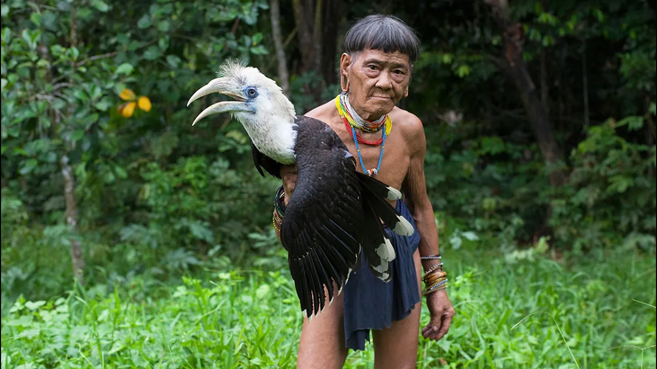 Borneo Death Blow - Full Documentary