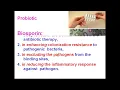 11 30-13 00 Antimicrobial drugs