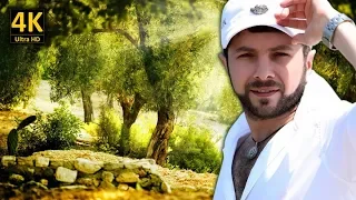 وديع مراد   لا تنحني   مع كلمات الاغنية   من نوفلن البناء دندنها