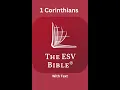 The ESV Bible 1 Corinthians Chapter 4
