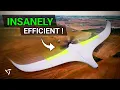 AI Designed This Organic Flying Wing I Had to Build It 16 Efficiency