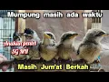 Lagu Masih JUMAT BERKAH‼️ MUMPUNG MASIH ADA WAKTU PENTET ANAKAN...‼️
