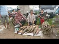 Download Lagu Harvest lots of bamboo shoots go to market sell - Single mother and kind guy build a new life