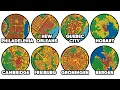 Every City OPPOSITE of Its Country Explained in 9 Minutes