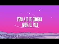 Dalex - Pa Mi (Remix) ft. Sech, Rafa Pabön, Cazzu, Feid, Khea and Lenny Tavárez