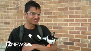 Tux the cat returns home after lost Lyft ride