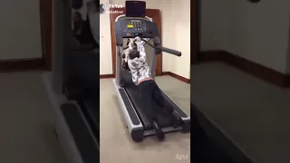 انفصخ السروال 