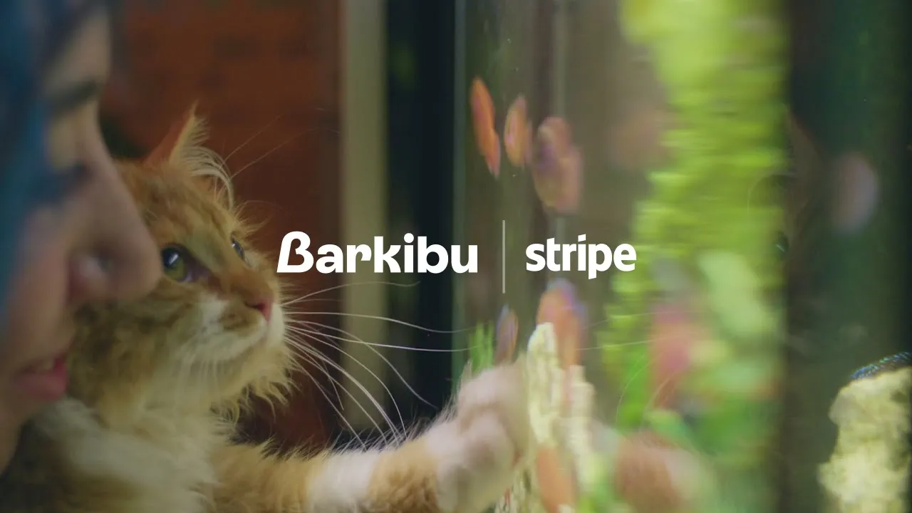 Stripe — Barkibu - Pet Insurance Card (YouTube video ad)